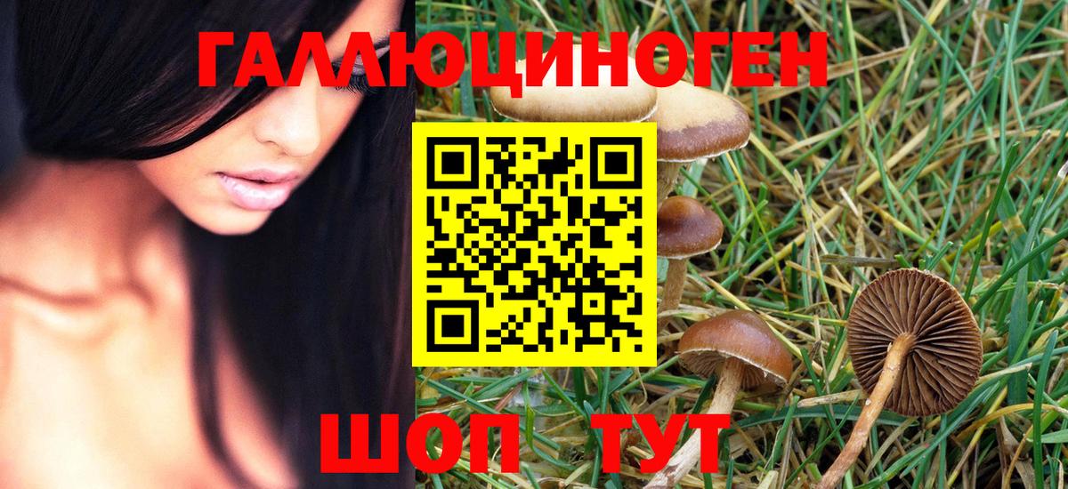 Псилоцибиновые грибы MAGIC MUSHROOMS  купить закладку  Губкин  Вход с VPN  Галлюциногенные грибы Cubensis 